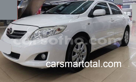 Buy Used Toyota Corolla White Car in Maseru in Maseru Buy Used Toyota Corolla White Car in Maseru in Maseru