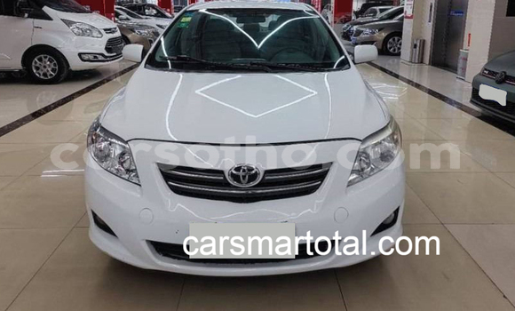 Buy Used Toyota Corolla White Car in Maseru in Maseru Buy Used Toyota Corolla White Car in Maseru in Maseru