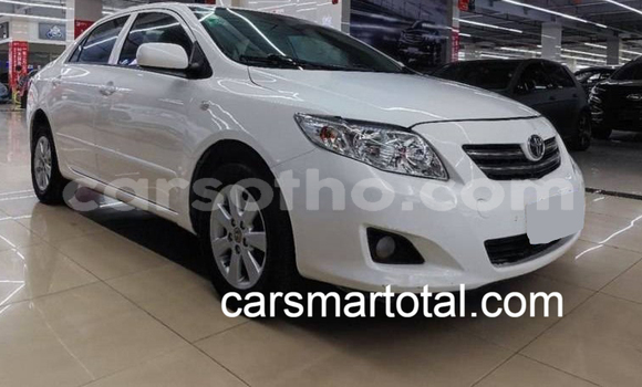 Buy Used Toyota Corolla White Car in Maseru in Maseru Buy Used Toyota Corolla White Car in Maseru in Maseru