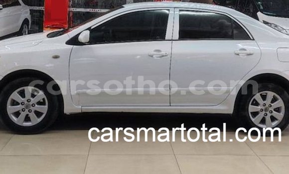 Buy Used Toyota Corolla White Car in Maseru in Maseru Buy Used Toyota Corolla White Car in Maseru in Maseru