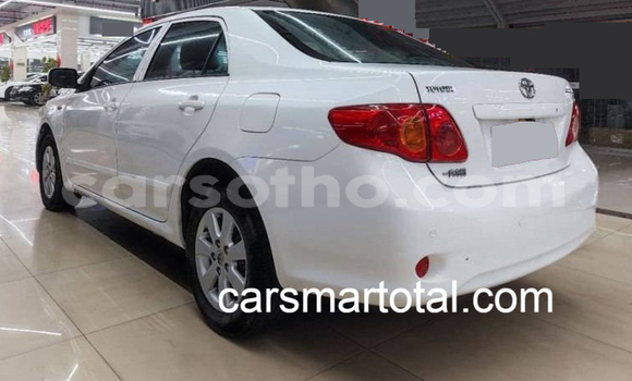 Buy Used Toyota Corolla White Car in Maseru in Maseru Buy Used Toyota Corolla White Car in Maseru in Maseru