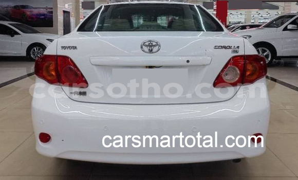 Buy Used Toyota Corolla White Car in Maseru in Maseru Buy Used Toyota Corolla White Car in Maseru in Maseru