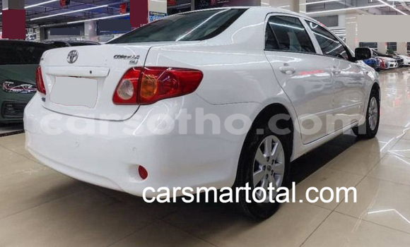 Buy Used Toyota Corolla White Car in Maseru in Maseru Buy Used Toyota Corolla White Car in Maseru in Maseru