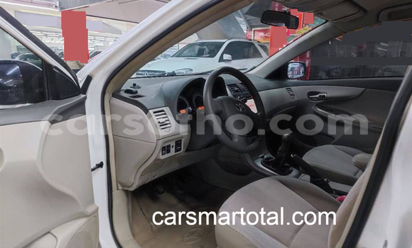 Buy Used Toyota Corolla White Car in Maseru in Maseru Buy Used Toyota Corolla White Car in Maseru in Maseru