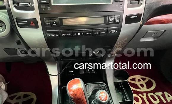 Buy Used Toyota Corolla White Car in Mohale's Hoek in Mohale's Hoek Buy Used Toyota Corolla White Car in Mohale's Hoek in Mohale's Hoek