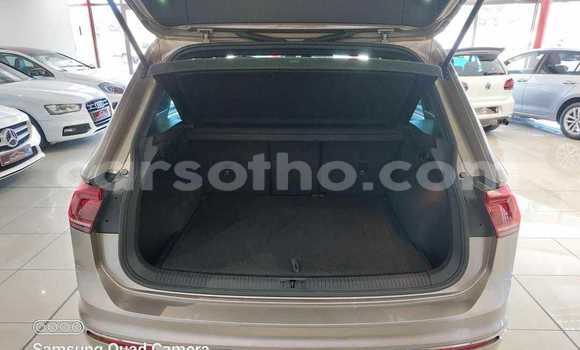 Acheter Occasion Voiture Volkswagen Tiguan Autre à Hlotse, Leribe Acheter Occasion Voiture Volkswagen Tiguan Autre à Hlotse, Leribe