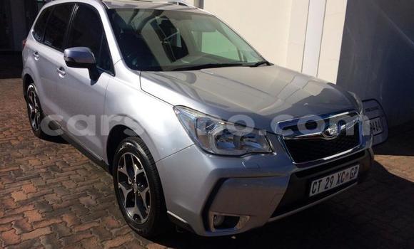 Sayi Na hannu Subaru Forester Silver Mota in Maseru a Maseru