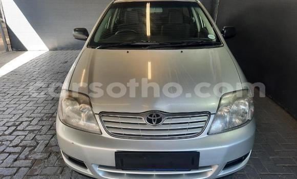Buy Used Toyota Corolla Silver Car in Maseru in Maseru Buy Used Toyota Corolla Silver Car in Maseru in Maseru