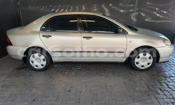 Buy Used Toyota Corolla Silver Car in Maseru in Maseru Buy Used Toyota Corolla Silver Car in Maseru in Maseru