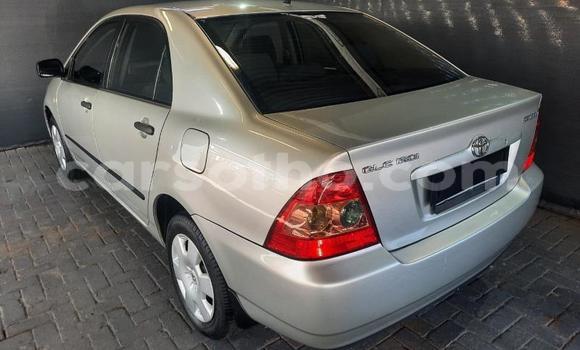 Buy Used Toyota Corolla Silver Car in Maseru in Maseru Buy Used Toyota Corolla Silver Car in Maseru in Maseru