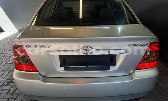 Buy Used Toyota Corolla Silver Car in Maseru in Maseru Buy Used Toyota Corolla Silver Car in Maseru in Maseru