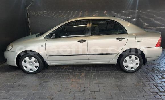 Buy Used Toyota Corolla Silver Car in Maseru in Maseru Buy Used Toyota Corolla Silver Car in Maseru in Maseru