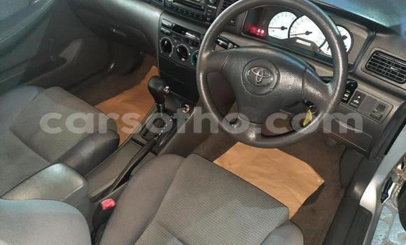 Buy Used Toyota Corolla Silver Car in Maseru in Maseru Buy Used Toyota Corolla Silver Car in Maseru in Maseru