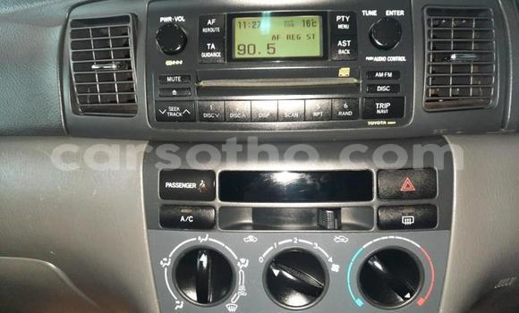 Buy Used Toyota Corolla Silver Car in Maseru in Maseru Buy Used Toyota Corolla Silver Car in Maseru in Maseru