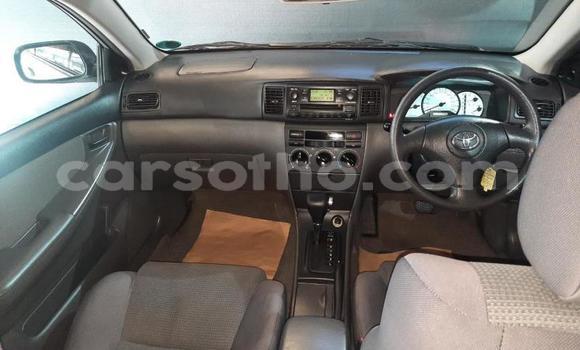 Buy Used Toyota Corolla Silver Car in Maseru in Maseru Buy Used Toyota Corolla Silver Car in Maseru in Maseru