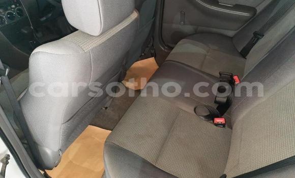 Buy Used Toyota Corolla Silver Car in Maseru in Maseru Buy Used Toyota Corolla Silver Car in Maseru in Maseru