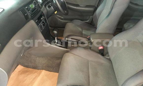 Buy Used Toyota Corolla Silver Car in Maseru in Maseru Buy Used Toyota Corolla Silver Car in Maseru in Maseru