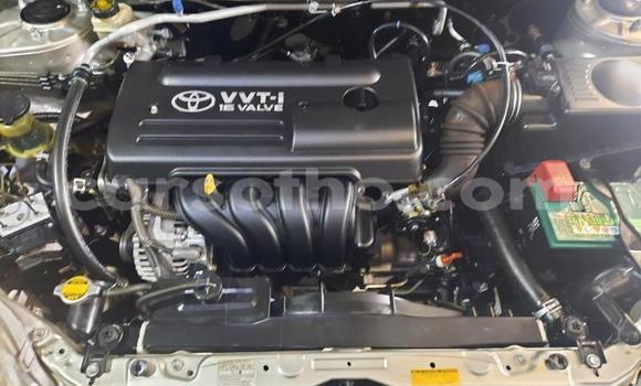 Buy Used Toyota Corolla Silver Car in Maseru in Maseru Buy Used Toyota Corolla Silver Car in Maseru in Maseru