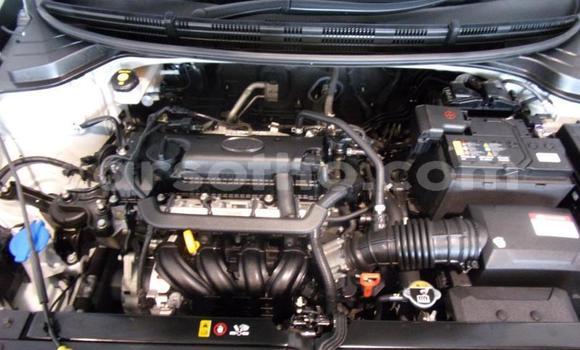 Buy Used Kia Rio Silver Car in Maseru in Maseru Buy Used Kia Rio Silver Car in Maseru in Maseru