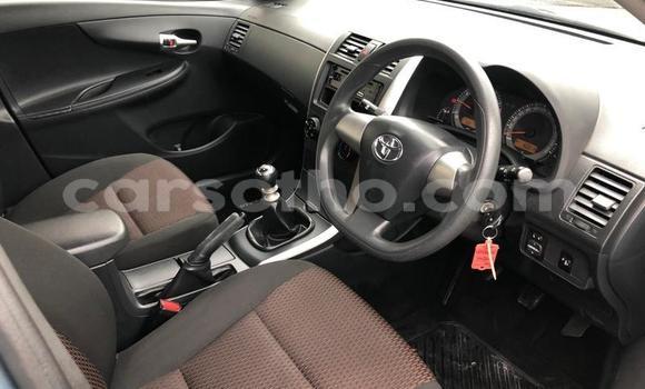 Acheter Occasion Voiture Toyota Corolla Autre à Maseru, Maseru Acheter Occasion Voiture Toyota Corolla Autre à Maseru, Maseru