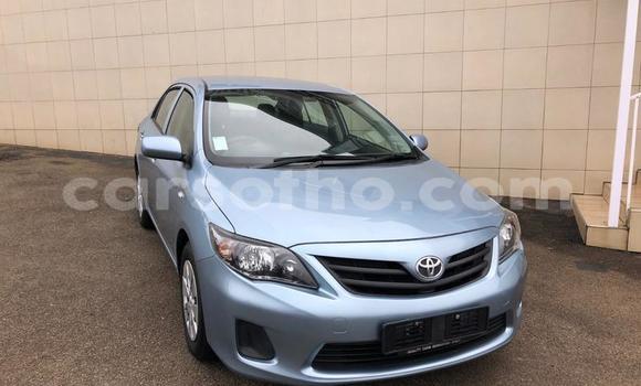 Acheter Occasion Voiture Toyota Corolla Autre à Maseru, Maseru Acheter Occasion Voiture Toyota Corolla Autre à Maseru, Maseru