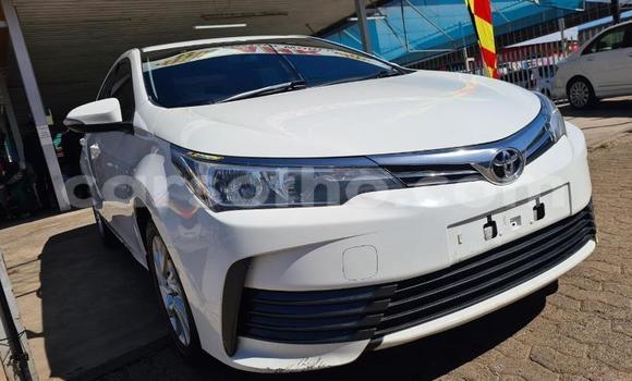 Acheter Occasion Voiture Toyota Corolla Blanc à Hlotse, Leribe Acheter Occasion Voiture Toyota Corolla Blanc à Hlotse, Leribe