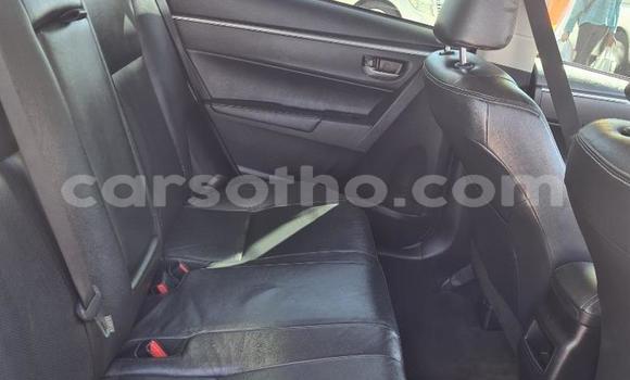 Acheter Occasion Voiture Toyota Corolla Blanc à Hlotse, Leribe Acheter Occasion Voiture Toyota Corolla Blanc à Hlotse, Leribe