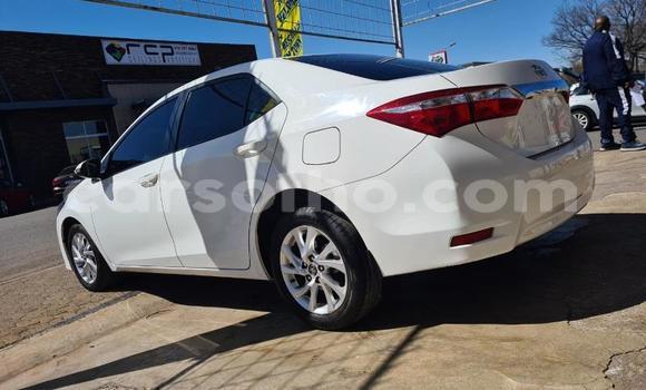 Acheter Occasion Voiture Toyota Corolla Blanc à Hlotse, Leribe Acheter Occasion Voiture Toyota Corolla Blanc à Hlotse, Leribe