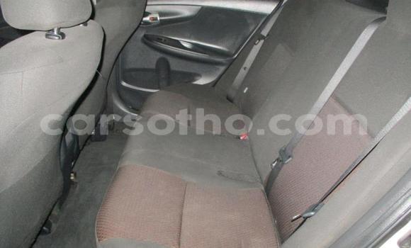 Acheter Occasion Voiture Toyota Corolla Blanc à Butha–Buthe, Thaba-Tseka Acheter Occasion Voiture Toyota Corolla Blanc à Butha–Buthe, Thaba-Tseka