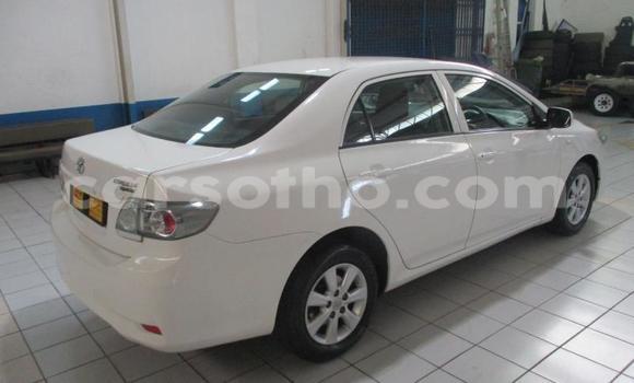 Acheter Occasion Voiture Toyota Corolla Blanc à Butha–Buthe, Thaba-Tseka Acheter Occasion Voiture Toyota Corolla Blanc à Butha–Buthe, Thaba-Tseka