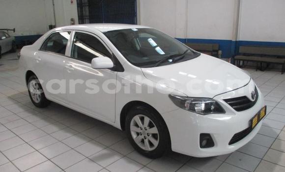 Acheter Occasion Voiture Toyota Corolla Blanc à Butha–Buthe, Thaba-Tseka Acheter Occasion Voiture Toyota Corolla Blanc à Butha–Buthe, Thaba-Tseka