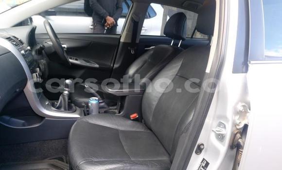 Acheter Occasion Voiture Toyota Corolla Blanc à Maputsoa, Leribe Acheter Occasion Voiture Toyota Corolla Blanc à Maputsoa, Leribe