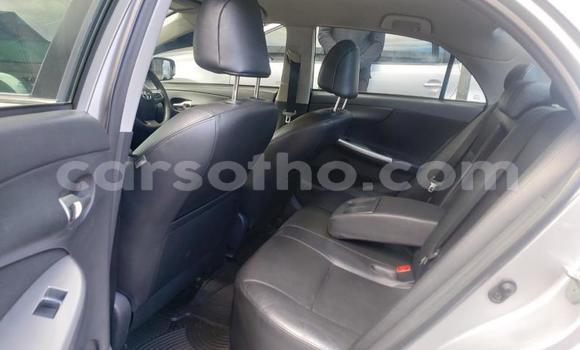 Acheter Occasion Voiture Toyota Corolla Blanc à Maputsoa, Leribe Acheter Occasion Voiture Toyota Corolla Blanc à Maputsoa, Leribe