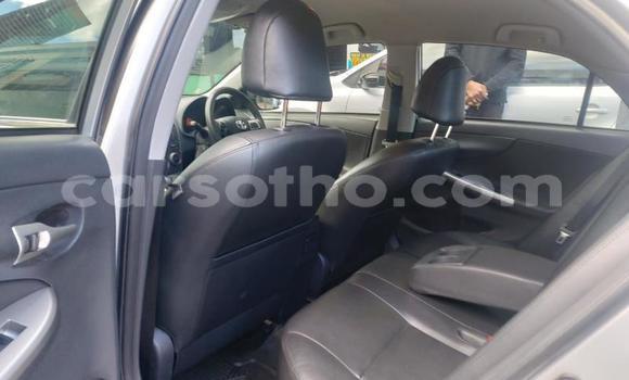 Acheter Occasion Voiture Toyota Corolla Blanc à Maputsoa, Leribe Acheter Occasion Voiture Toyota Corolla Blanc à Maputsoa, Leribe