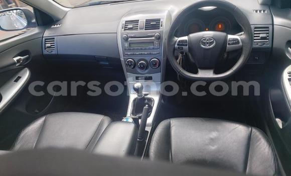 Acheter Occasion Voiture Toyota Corolla Blanc à Maputsoa, Leribe Acheter Occasion Voiture Toyota Corolla Blanc à Maputsoa, Leribe