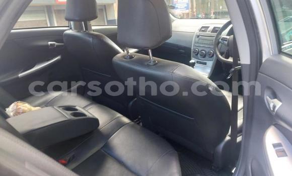 Acheter Occasion Voiture Toyota Corolla Blanc à Maputsoa, Leribe Acheter Occasion Voiture Toyota Corolla Blanc à Maputsoa, Leribe