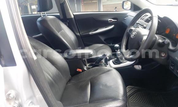 Acheter Occasion Voiture Toyota Corolla Blanc à Maputsoa, Leribe Acheter Occasion Voiture Toyota Corolla Blanc à Maputsoa, Leribe