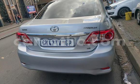 Acheter Occasion Voiture Toyota Corolla Blanc à Maputsoa, Leribe Acheter Occasion Voiture Toyota Corolla Blanc à Maputsoa, Leribe