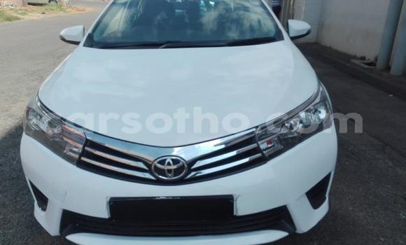 Acheter Occasion Voiture Toyota Corolla Blanc à Maputsoa, Leribe Acheter Occasion Voiture Toyota Corolla Blanc à Maputsoa, Leribe