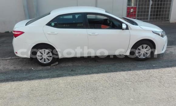 Acheter Occasion Voiture Toyota Corolla Blanc à Maputsoa, Leribe Acheter Occasion Voiture Toyota Corolla Blanc à Maputsoa, Leribe