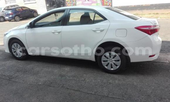 Acheter Occasion Voiture Toyota Corolla Blanc à Maputsoa, Leribe Acheter Occasion Voiture Toyota Corolla Blanc à Maputsoa, Leribe
