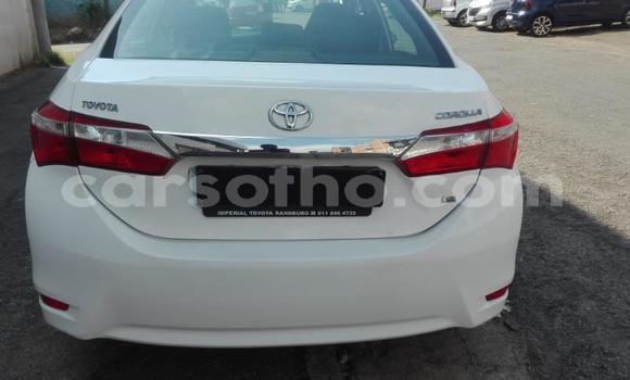 Acheter Occasion Voiture Toyota Corolla Blanc à Maputsoa, Leribe Acheter Occasion Voiture Toyota Corolla Blanc à Maputsoa, Leribe