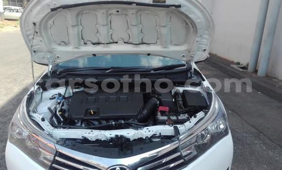 Acheter Occasion Voiture Toyota Corolla Blanc à Maputsoa, Leribe Acheter Occasion Voiture Toyota Corolla Blanc à Maputsoa, Leribe