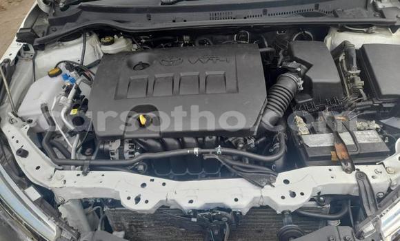 Acheter Occasion Voiture Toyota Corolla Blanc à Hlotse, Leribe Acheter Occasion Voiture Toyota Corolla Blanc à Hlotse, Leribe