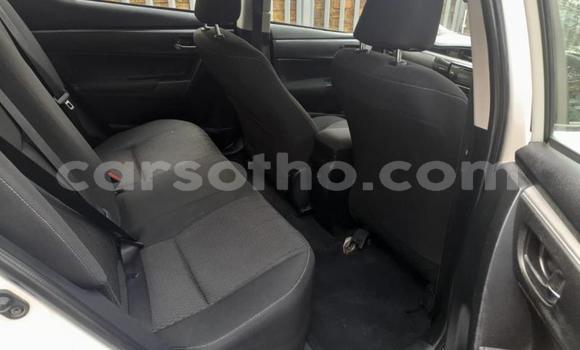 Acheter Occasion Voiture Toyota Corolla Blanc à Hlotse, Leribe Acheter Occasion Voiture Toyota Corolla Blanc à Hlotse, Leribe