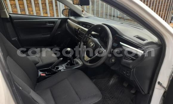 Acheter Occasion Voiture Toyota Corolla Blanc à Hlotse, Leribe Acheter Occasion Voiture Toyota Corolla Blanc à Hlotse, Leribe