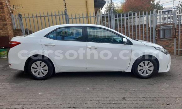Acheter Occasion Voiture Toyota Corolla Blanc à Hlotse, Leribe Acheter Occasion Voiture Toyota Corolla Blanc à Hlotse, Leribe