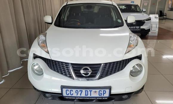 Buy Used Nissan Juke White Car in Maputsoe in Leribe Buy Used Nissan Juke White Car in Maputsoe in Leribe