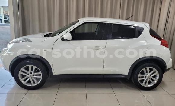 Buy Used Nissan Juke White Car in Maputsoe in Leribe Buy Used Nissan Juke White Car in Maputsoe in Leribe
