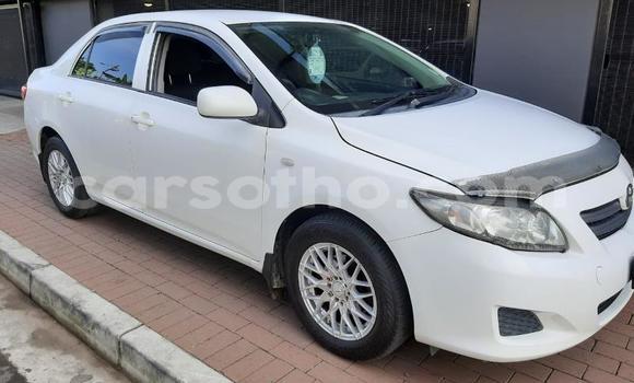 Buy Used Toyota Corolla White Car in Mohale's Hoek in Mohale's Hoek Buy Used Toyota Corolla White Car in Mohale's Hoek in Mohale's Hoek